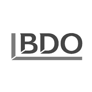 BDO Global Accounting